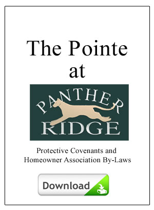 The Pointe Protective Covenants and Homeowner Association By-Laws