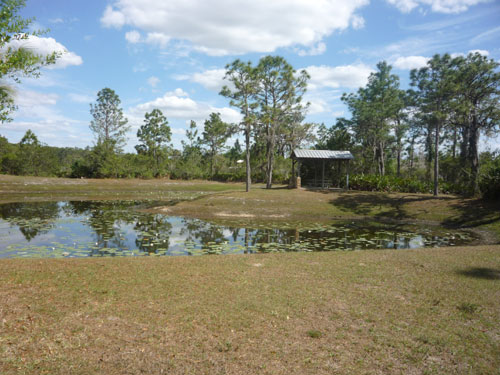 The Pointe Picnic Area Amenity