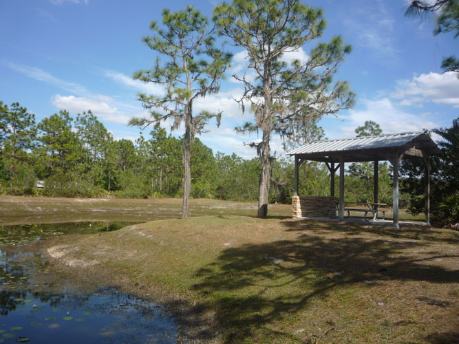 The Pointe Community Picnic Area